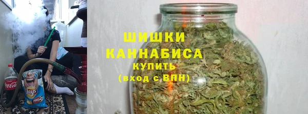 хмурый Корсаков