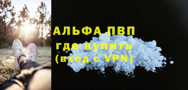 хмурый Корсаков