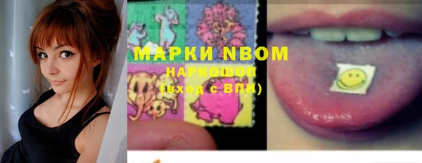 хмурый Корсаков