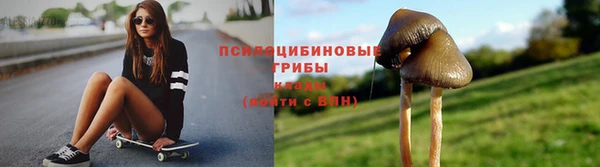 хмурый Корсаков