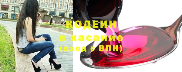 хмурый Корсаков